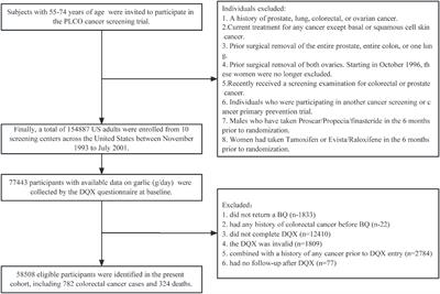 Garlic consumption and colorectal cancer risk in US adults: a large prospective cohort study
